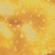 FOSSIL FERN 00528 91B BUTTERNUT