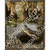 REALTREE COT 9956 PNL