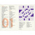 BOOK STRESS-RELIEVING 100 CROSSWORD