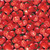 FARMER JOHN'S GARDEN 120 13211 RED