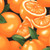 FARMER JOHN'S GARDEN 120 13341 ORANGE