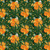 SECRET GARDEN 120 24645 GREEN/ORANGE