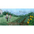 BOOK HELLO GARDEN