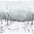 HAZY SHADE OF WINTER 8443P 79 PNL DIGITAL