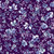 GARDEN WHISPERS 118" 8751 59