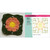 CARD DECK GRANNY SQUARE FLOWERS