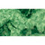 CUDDLE LUXE GALAXY EVERGREEN 60"