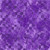 COLLEGIATE BLENDER PURPLE DIGITAL