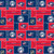 NHL FLEECE BLUE JACKETS COLUMBUS 012 60"