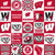 COLLEGE MINKY PRT 1362 WISCONSIN PNL 60"