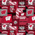 COLLEGE MINKY PRT 1367 WISCONSIN 60"