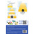 PATTERN BLOCKS2QUILT HONEY BEE HIVE PK OF 6 EA