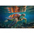 SEA TURTLE REFLECTION PNL 20.5"x17"