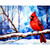 NOTE CARD FROST & FEATHER PK OF 6 EA