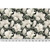 CUDDLE CLOUD MAGNOLIAS NATURAL 60"