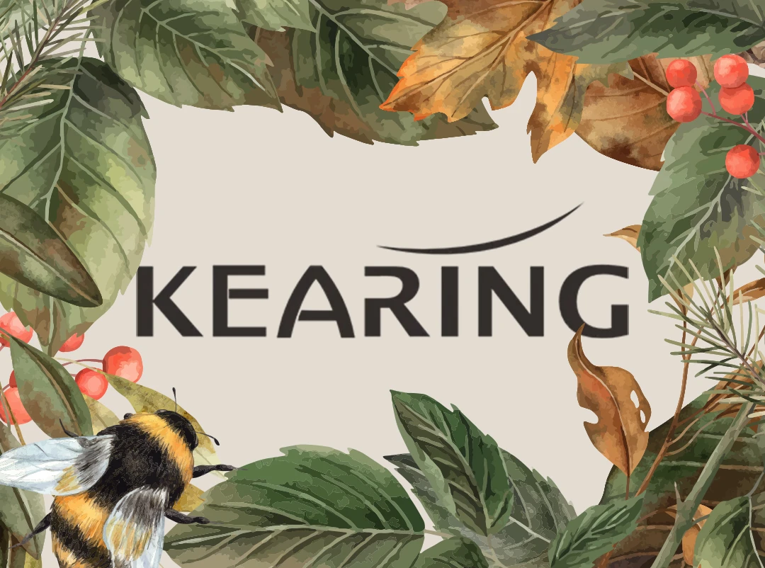 10% Off Everything