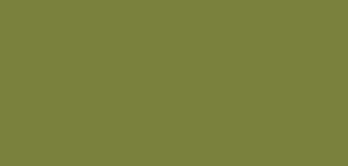 Testors - 1164 - OD Green