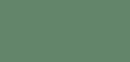 Tamiya - 81305 - XF-5 - Green