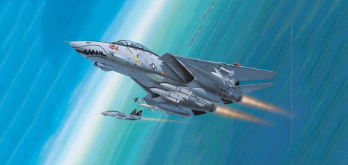 RVL - 04049 - F-14D Grim Reapers