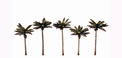 Palm Trees Small 5/