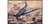 ACY - 12335 - SBD2 Battle of Midway USN Dive Bomber