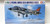 TAM - 61026 - Royal Navy Sea Harrier FRS.1