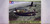 TAM - 61094 - Brewster B-339 Buffalo 'Pacific Theater'