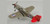 MRC - 39203 - P-39 'Red Tails'