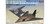 PLT - AE144-15SP - F-117 Night Hawk Skunk Works (2 n 1)