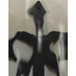 Grand Entry Doors Flemish Low E Insulated Glass Grand Entry Doors Flemish Low E Insulated Glass