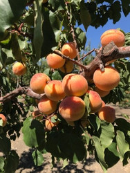 Very Successful Sale