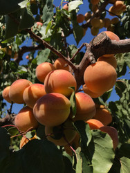 And just like that .....