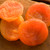SlipPits Cadillac Apricots                                                                                                    Bulk  10 lbs                                     