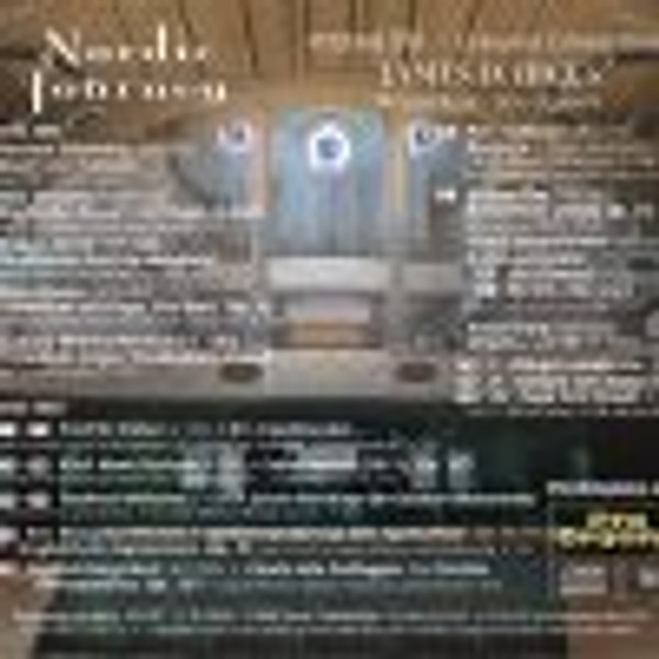 Nordic Journey, Vol 16 - Germanic Connections; James D. Hicks, organist