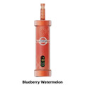 MFU SHISHA X2 Hookah 60,000 Puff Disposable Blueberry Watermelon
