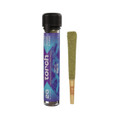 TORCH Hashole THC-A Preroll 2G-Berry pie Sativa