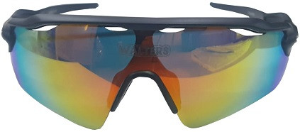 FREE BONUS OFFER WITH PURCHASE