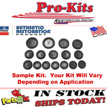 Door Frame Body Plug Kit A, B, E Bodies (Black in Color)