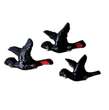 STUDIO AUS flying black cockatoos
