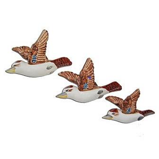 STUDIO AUS flying kookaburras