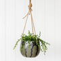 RAYELL pinxton hanging planter