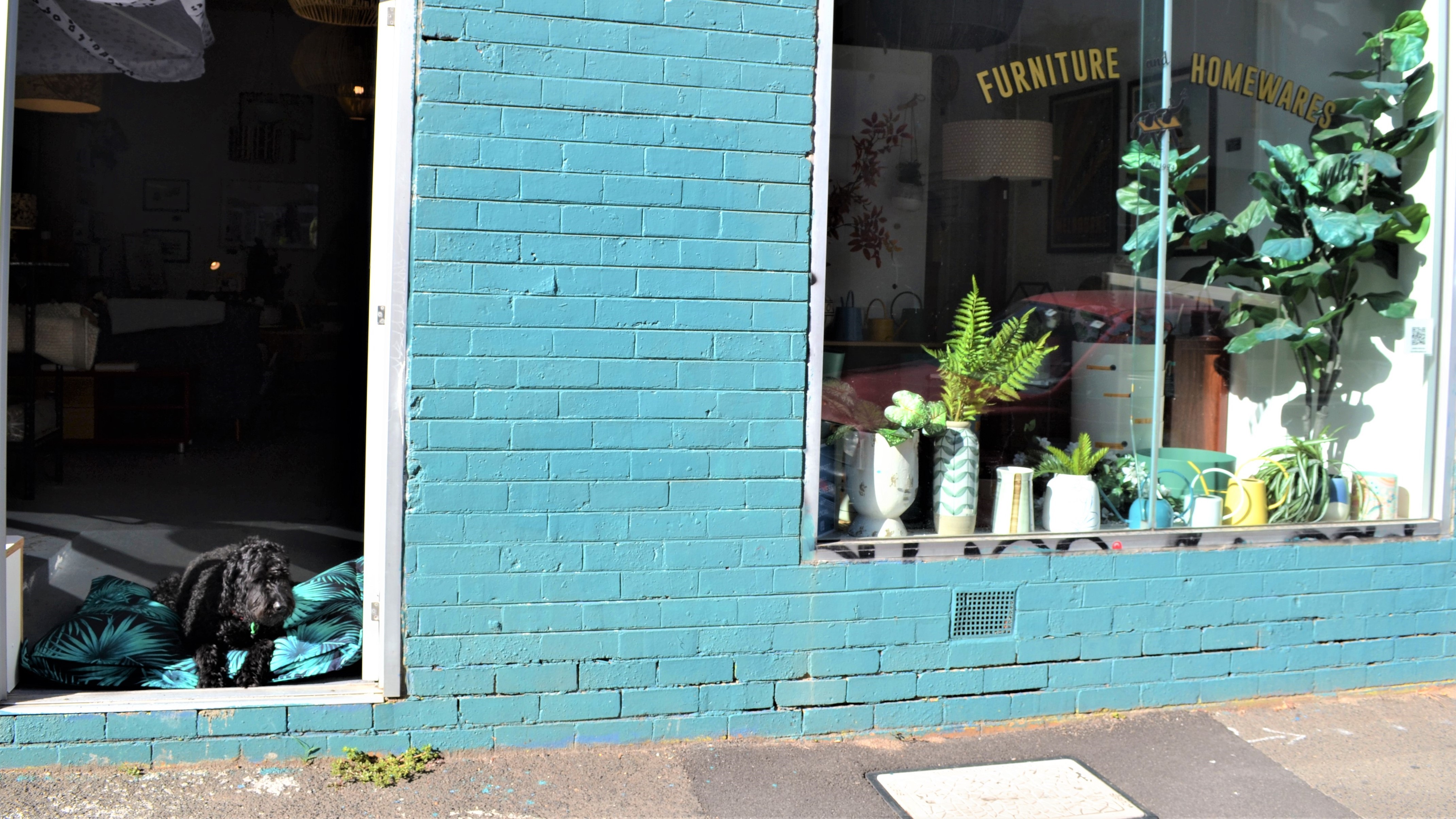 Wilkins and Kent Furniture and Design