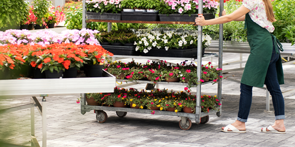 Horticulture & Gardens
