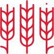 Horticulture & Gardens