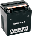PARTS UNLIMITED AGM Maintenance-Free Battery