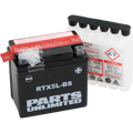 PARTS UNLIMITED AGM Maintenance-Free Battery