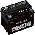 PARTS UNLIMITED AGM Maintenance-Free Battery