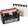 PARTS UNLIMITED AGM Maintenance-Free Battery