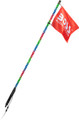 BOSS AUDIO 360 Degree RGB LED Whip Flag