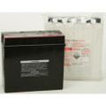 YUASA AGM Maintenance Free Battery
